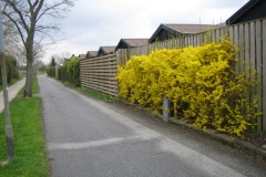 2010-05-01_rodede_billeder_148