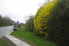 2010-05-01_rodede_billeder_151