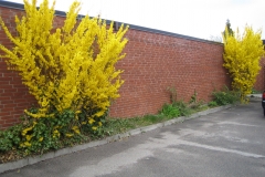 2010-05-01_rodede_billeder_157