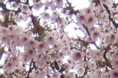 foraar3