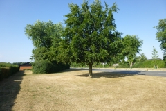 P1030343