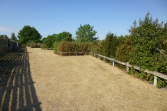 P1030357