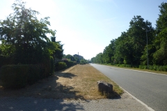 P1030371