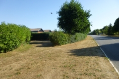 P1030391