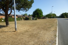 P1030393