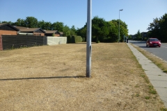 P1030396